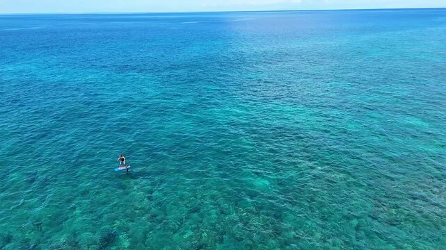 Aerial view of paddleboarding on shimmering turquoise ocean waters, with coral reefs visible below the surface, Hawi, Hawaii, United States.