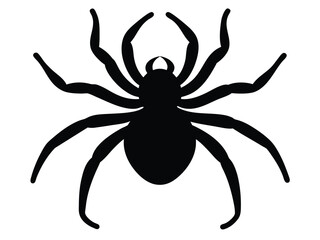 crawling spider silhouette vector icon