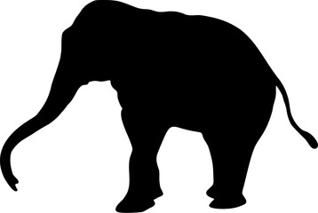 Elephant Silhouette Vector Illustration | Safari, Wildlife, Jungle, Nature Design