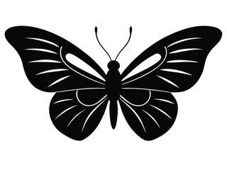flying butterfly silhouette vector icon