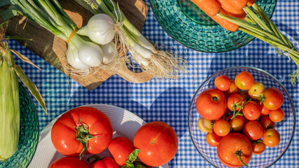 Fresh garden bounty on gingham cloth, vibrant harvest medley celebrates Le Marche Provencal and Tomato Festival April 5, 2025, Barcelona, Spain