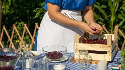 A woman of European descent in azure attire lovingly harvests cherries, evoking Midsummers Eve and Slow Food philosophy, April 5, 2025, Barcelona, Spain