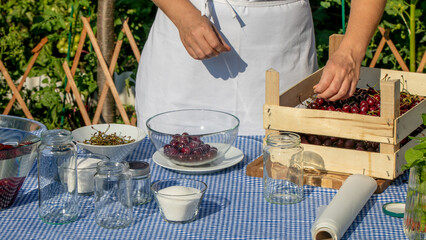 Harvesting cherries under the sun, a Caucasian woman's hands prepare for Lammas celebrating nature's bountiful offerings April 5 2025, Barcelona, Spain