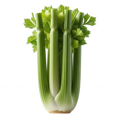 Fresh green celery stalks with leaves isolated on a transparent background