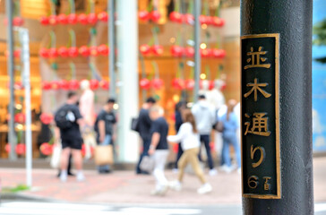 銀座並木通りの道路標示看板