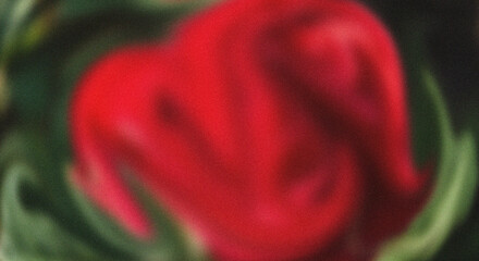 Close up of a vibrant red tulip bud with green leaves in soft focus