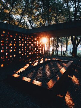 Sunlight streams through a patterned wall in a park