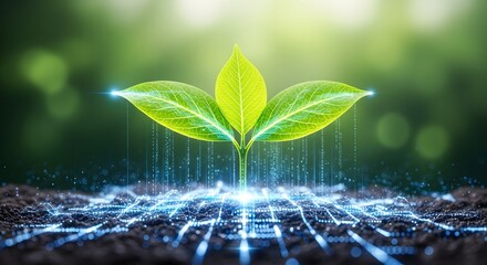 Digital agriculture and sustainable technology. Smart farming and genetic data analysis. Glowing seedling with binary code growing from a connected mesh network in soil