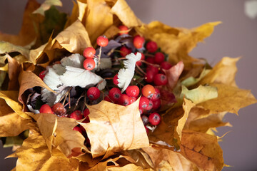 Bukiet z jarzębiny i liści 2 © Piotr