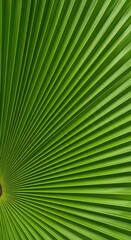 Obraz premium Closeup of a vibrant green palm leaf showing intricate patterns and natural textures