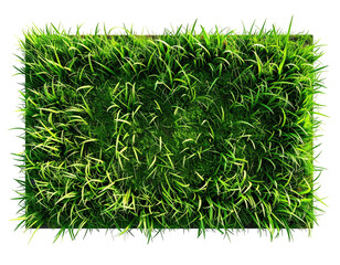 A rectangular patch of green grass, lush and vibrant, against a black background