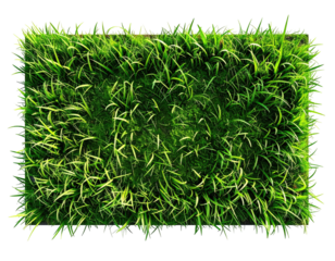 A rectangular patch of green grass, lush and vibrant, against a black background
