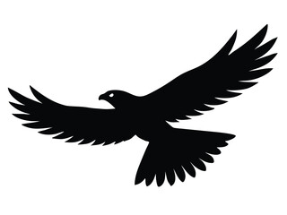 Obraz premium soaring hawk silhouette vector icon