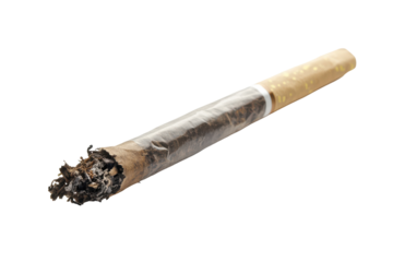 Burning marijuana joint isolated on transparent background. Cigarette butt isolated on white background.