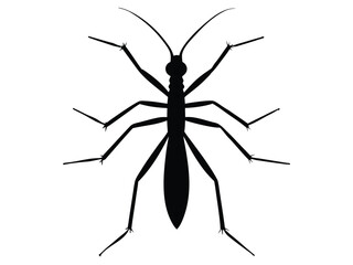 stick insect silhouette vector icon