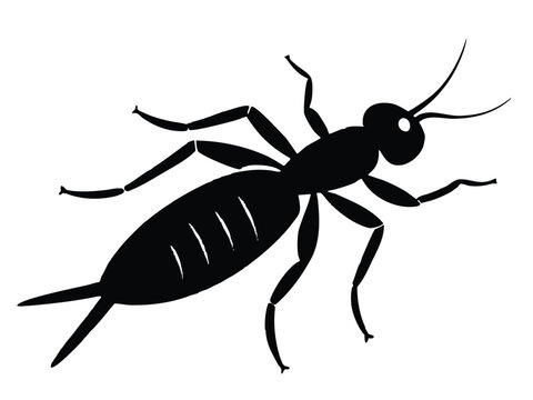termite walking silhouette vector icon