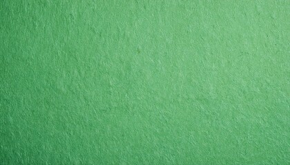 Fototapeta premium Light Green Paper Texture For Background