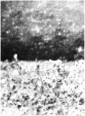 Pop Art Vector Background Halftone Dots with Grunge Effect Texture