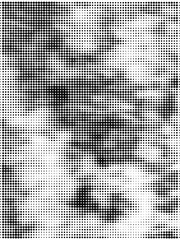 Halftone Dots Pop Art Vector Retro Grunge Background Texture