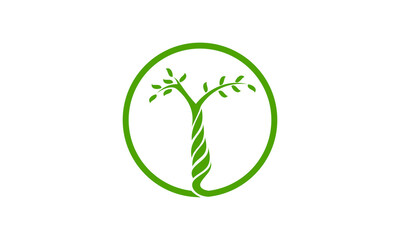 Elegant botanicals icon vector logo