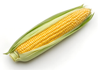 Ripe Yellow Corn with Green Husk on White Background
