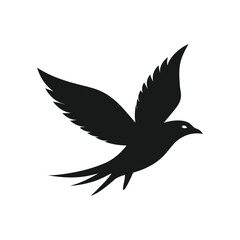 Black bird in flight