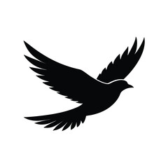 Bird in flight
