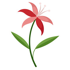 realistic nerine sarniensis flower vector on white