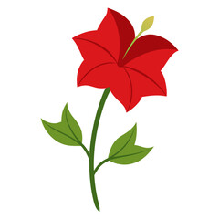 nicotiana rustica flower realistic design vector isolated