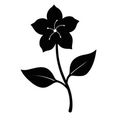 silhouette nicotiana rustica flower vector illustration isolated