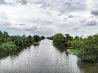Fototapeta premium A calm river stretches between green trees with a cloudy sky above.