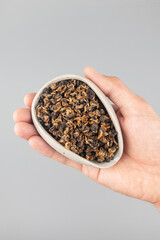 Dried black tea in chahe in hand on a gray background
