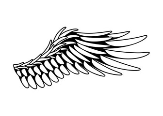 Wings sketch. Stylized birds wings. Hand drawn contoured stiker wing in open position. Vector design elements in coloring style