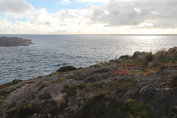 ocean at admirals arch at kangaroo island in australia