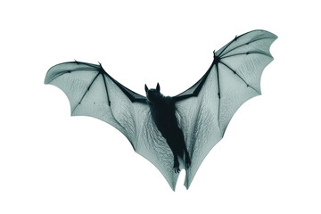 Dark bat wings isolated on transparent background. Flying bat isolated on white background.