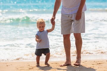 Little baby boy and his father stand on the beach and look at the sea on a sunny day in summer. The dad holds his son's hand. Rear view