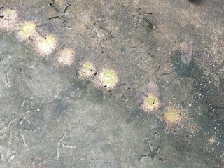 texture of the stone