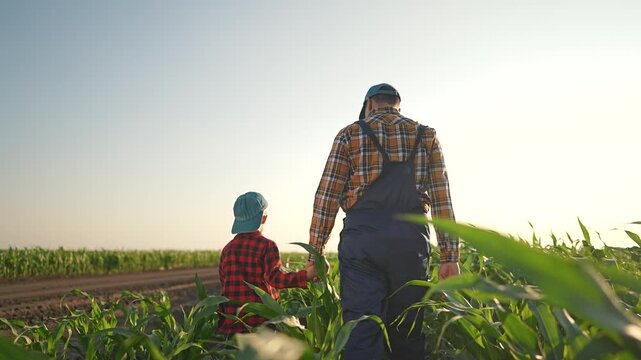 Father points hand showing field. Boy looks at rural nature. Holding boy hand on corn farm. Nature summer day. Father teaching boy about field and farm life. Corn rows bright leaf shadows on field.