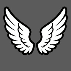 Obraz premium Elegant white wings on dark background symbolizing freedom and aspiration