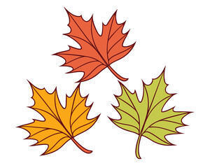 Obraz premium Three stylized autumn maple leaves in red, orange, and green colors, arranged in a simple graphic design on a white background.