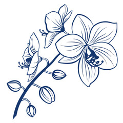 blue orchid vector © MOHAMMADRIPON