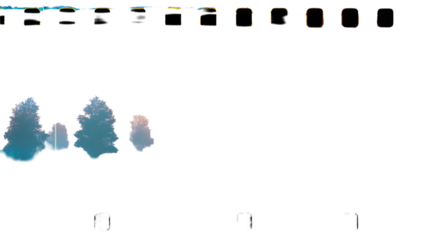 Abstract Film Grain Featuring a Cluster of Faint, Translucent Trees on Black