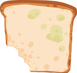 Organic waste, food compost collection isolated on white background. Banana and watermelon rind, fish bone and apple stump vector illustration