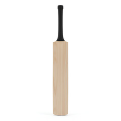 ultra realistic side view of professional cricket bat with natural wooden blade and plain black grip isolated on white