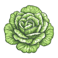 Obraz premium Light lime green rose illustration isolated on transparent background