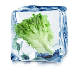 Fresh lettuce leaf inside ice cube isolated on white