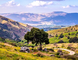 Scenic mountain valley vista