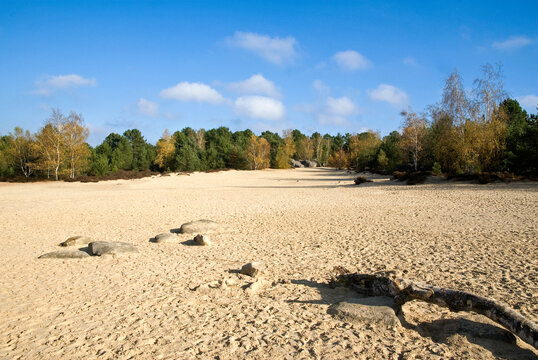 Rochers, sable, For&ecirc;t des 3 Pignons, Foret de Fontainebleau, 77, Seine et Marne, France