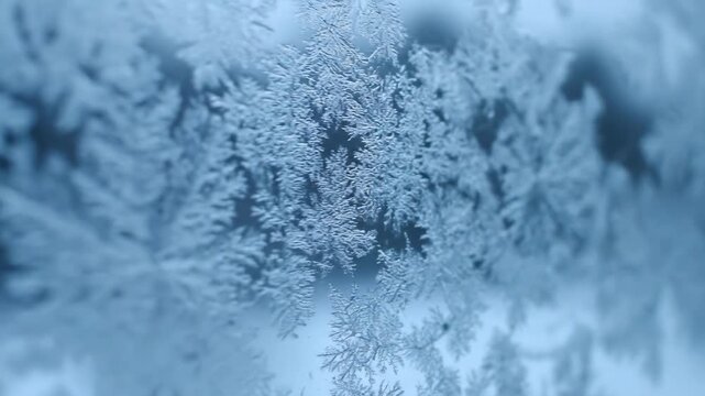 Extreme close-up tracking shot across delicate, crystalline ice patterns forming on a window pane under cool, ambient light window pane, frozen, extreme close-up tracking shot