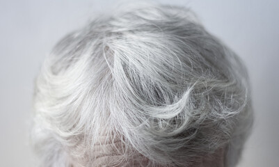 the head of an elderly woman with natural gray hair